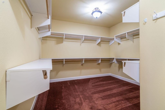 walk in closet with dark colored carpet