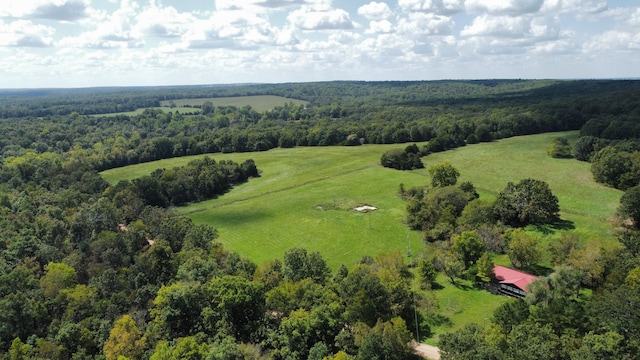 bird's eye view