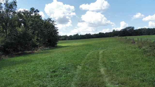 view of yard with a rural view