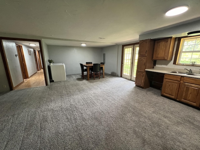 kitchen with light carpet and sink