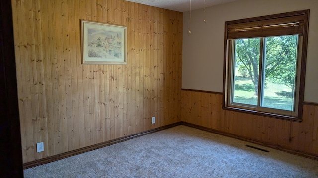 empty room featuring a textured ceiling, wooden walls, a wealth of natural light, and carpet flooring