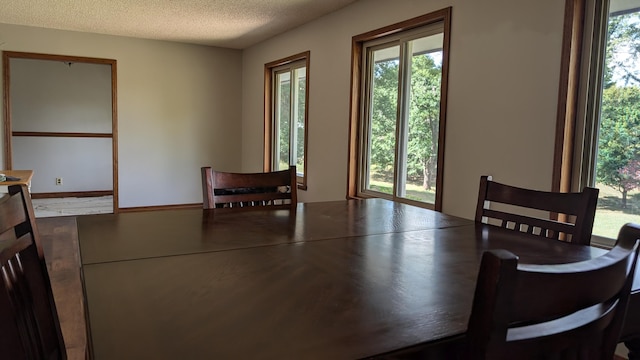 dining space featuring a textured ceiling
