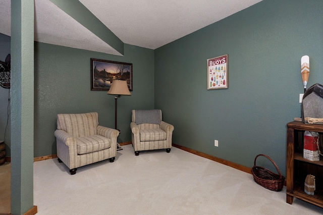 sitting room featuring carpet and a textured ceiling