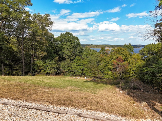 view of local wilderness