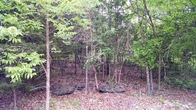 LOT27 Timberlake Cir, Galena MO, 65656 land for sale