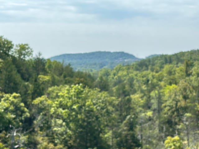 Listing photo 3 for LOT3 Fox Hollow Rd, Branson West MO 65737