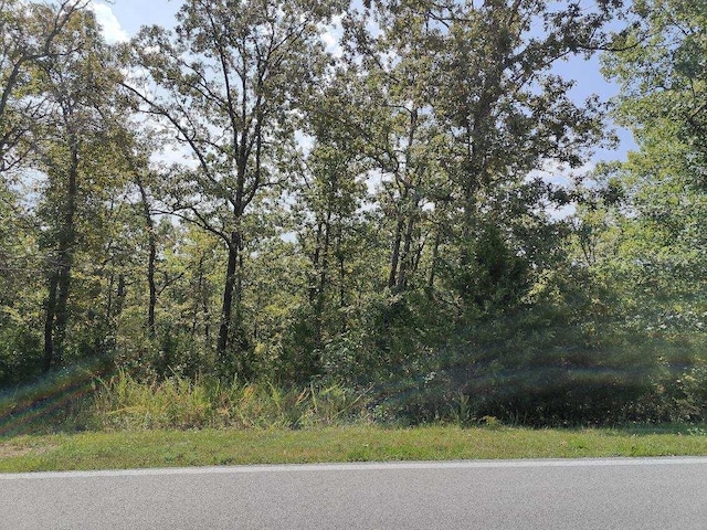 LOT3 Fox Hollow Rd, Branson West MO, 65737 land for sale