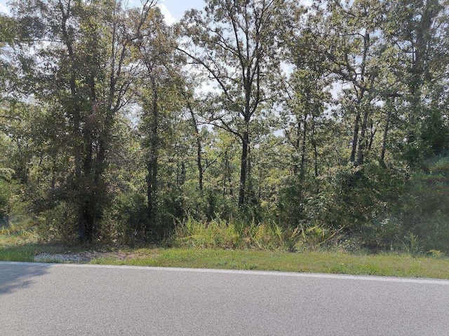 Listing photo 2 for LOT3 Fox Hollow Rd, Branson West MO 65737