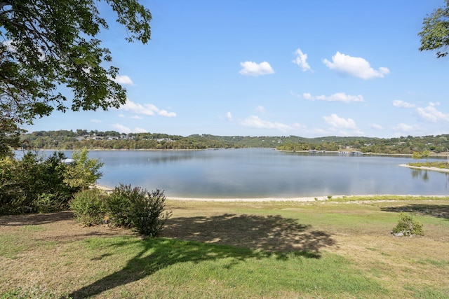 property view of water