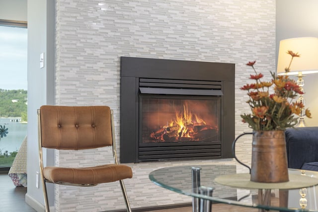 details with wood-type flooring and a fireplace