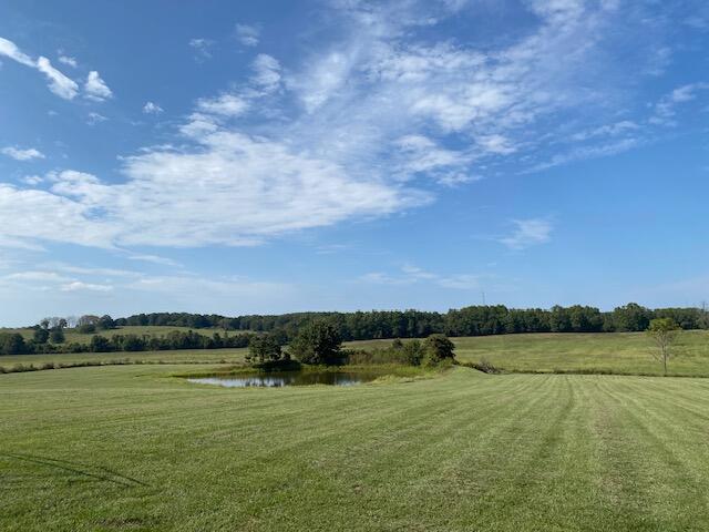 view of yard featuring a water view and a rural view