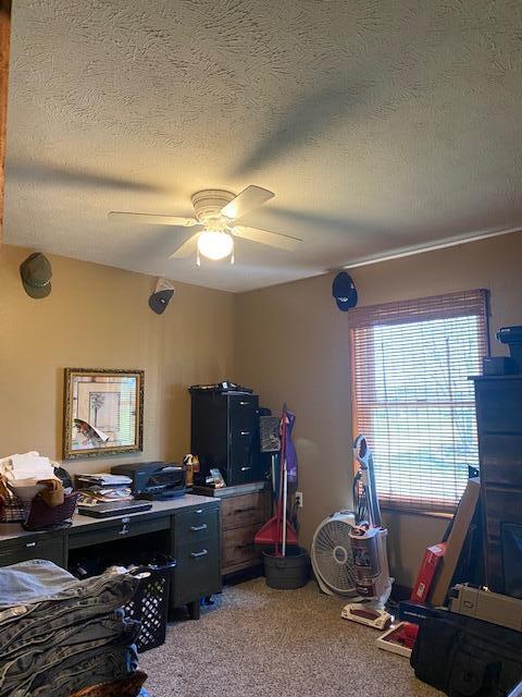 office area featuring ceiling fan, a textured ceiling, and carpet