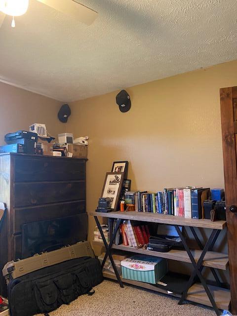 interior space with carpet floors and a textured ceiling