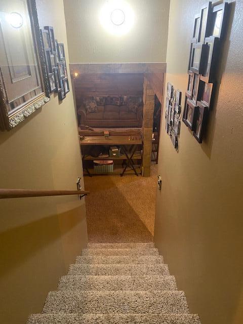 stairway with carpet flooring