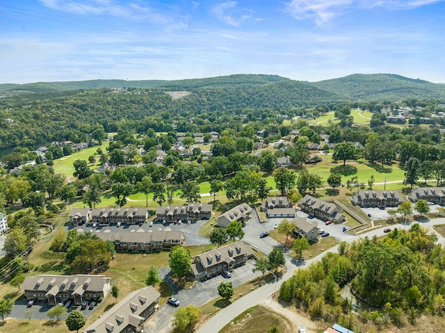 birds eye view of property featuring a mountain view