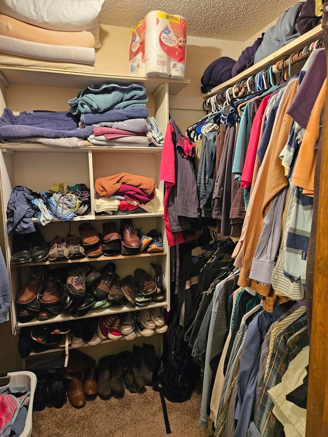 walk in closet featuring carpet flooring