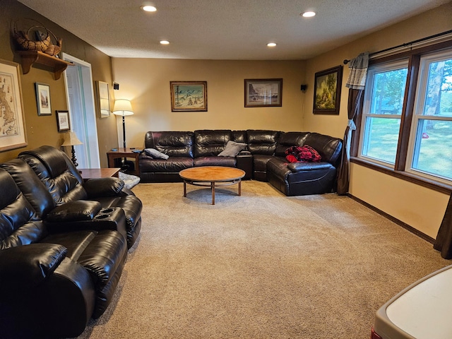 carpeted living room with a textured ceiling