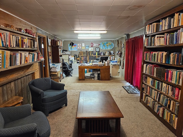 living area with carpet