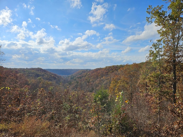 view of mountain feature