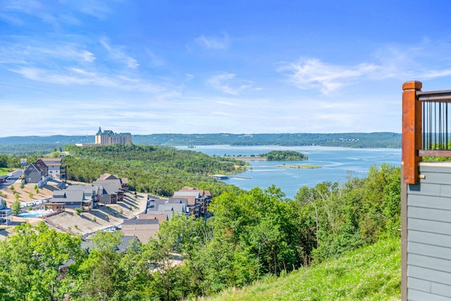 property view of water