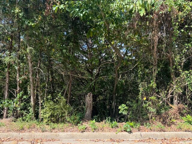 LOT22 Rose Oneill Dr, Branson, MO 65616 - photo 1