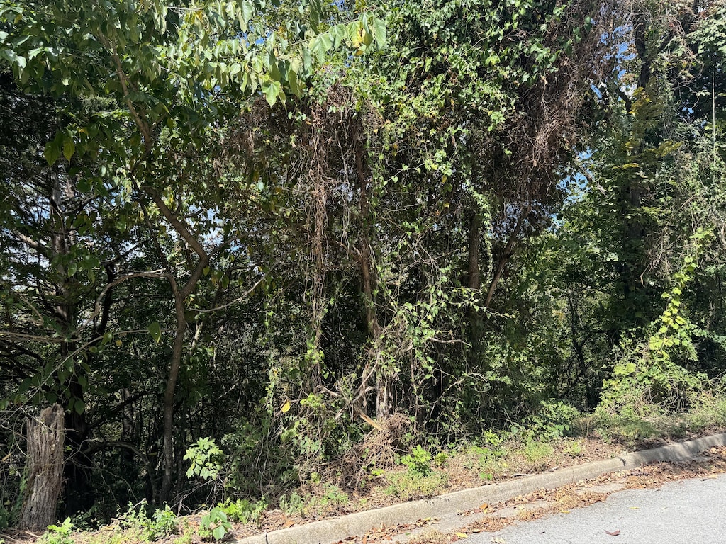 LOT22 Rose Oneill Dr, Branson, MO 65616 - photo 2
