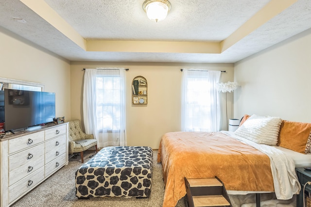 bedroom featuring multiple windows, light colored carpet, and a tray ceiling