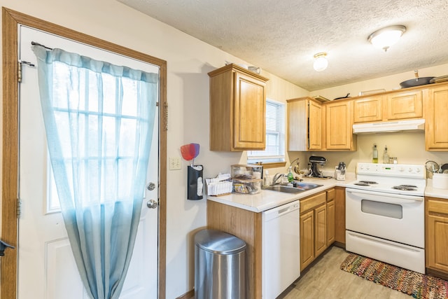 kitchen featuring white appliances, light hardwood / wood-style floors, a textured ceiling, and sink