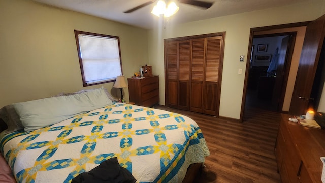 bedroom featuring ceiling fan, a closet, and dark hardwood / wood-style floors