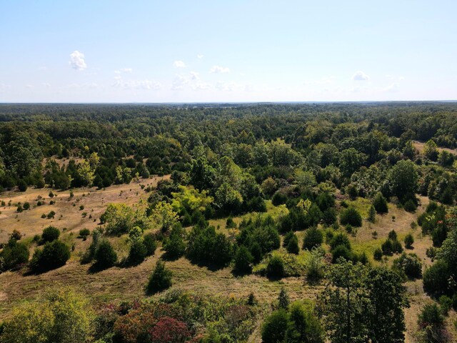 000 Clementine Outer Rd, Newburg, MO 65550 - photo 17