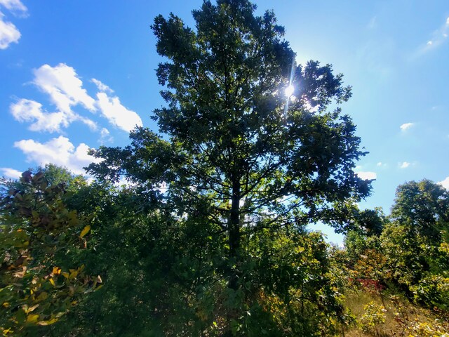000 Clementine Outer Rd, Newburg, MO 65550 - photo 8