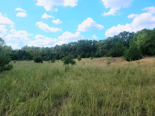 000 Clementine Outer Rd, Newburg, MO 65550 - photo 11
