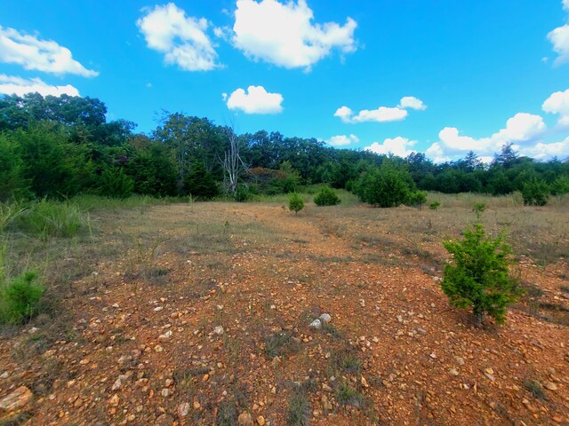 000 Clementine Outer Rd, Newburg, MO 65550 - photo 9
