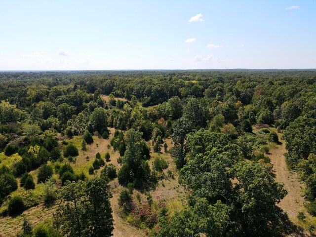 000 Clementine Outer Rd, Newburg, MO 65550 - photo 18