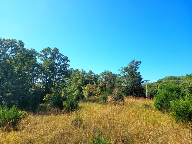 000 Clementine Outer Rd, Newburg, MO 65550 - photo 4