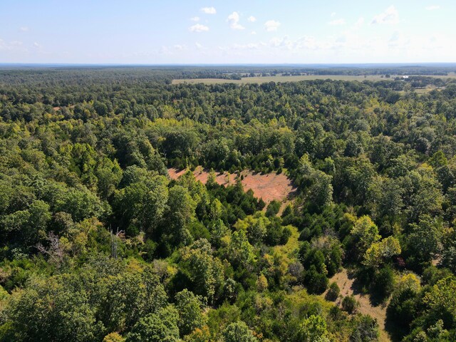 000 Clementine Outer Rd, Newburg, MO 65550 - photo 22