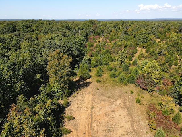 000 Clementine Outer Rd, Newburg, MO 65550 - photo 24
