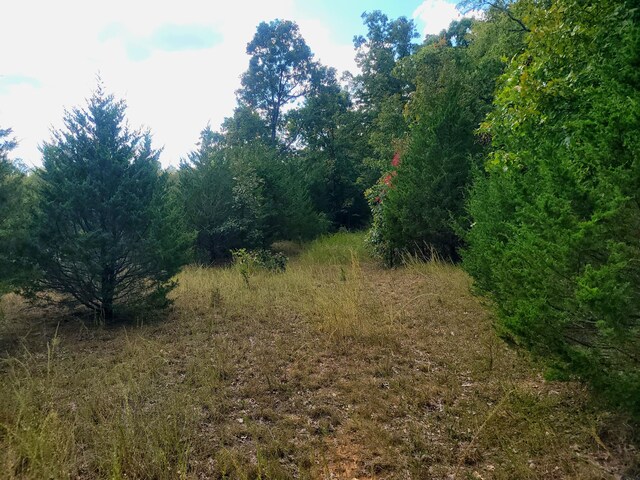 000 Clementine Outer Rd, Newburg, MO 65550 - photo 12