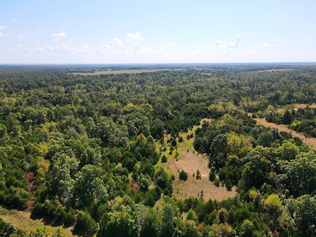 000 Clementine Outer Rd, Newburg, MO 65550 - photo 25