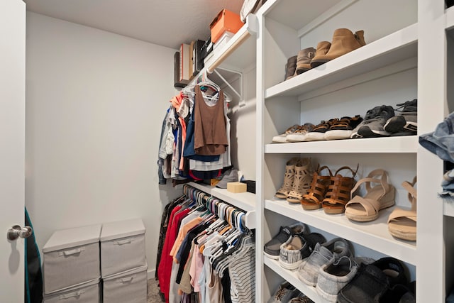 view of spacious closet