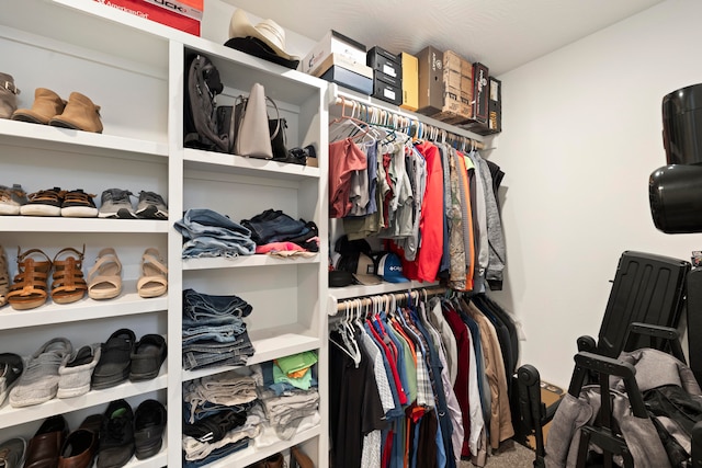 view of spacious closet