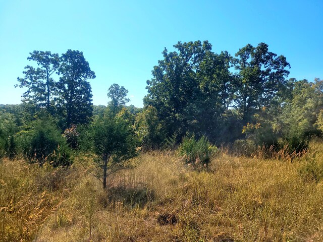 16000 State Route J, Newburg, MO 65550 - photo 4
