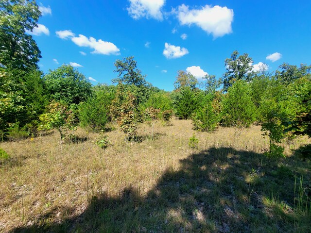 16000 State Route J, Newburg, MO 65550 - photo 9