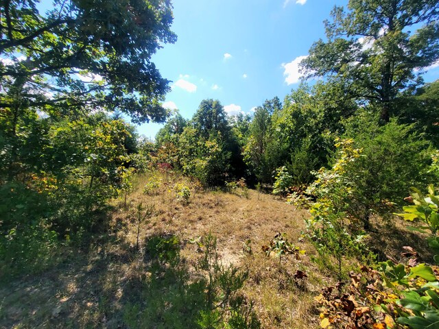 16000 State Route J, Newburg, MO 65550 - photo 10