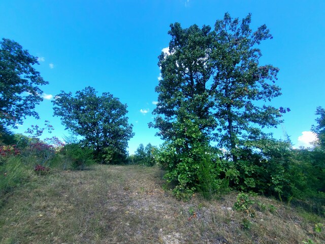 16000 State Route J, Newburg, MO 65550 - photo 6