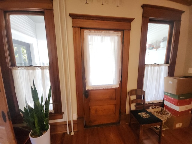 doorway featuring dark hardwood / wood-style flooring