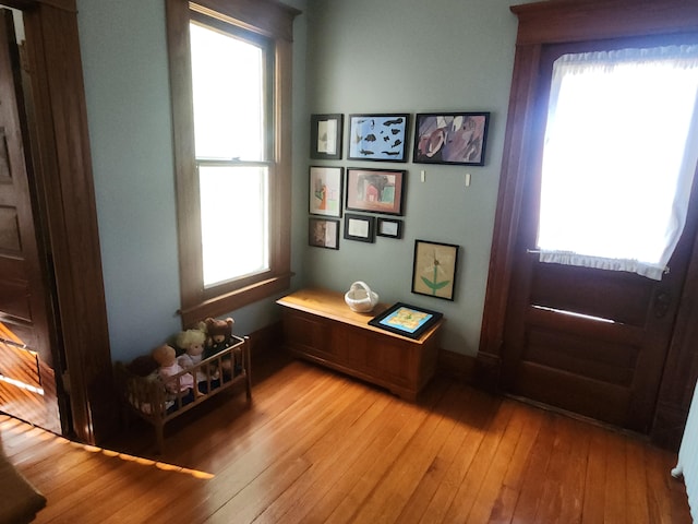 entrance foyer with light hardwood / wood-style flooring and a healthy amount of sunlight