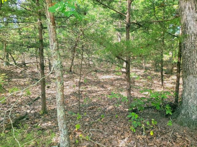 000 State Route J, Newburg, MO 65550