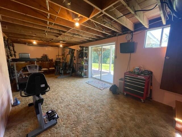 basement with carpet floors and a wealth of natural light