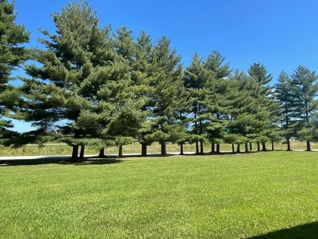 view of home's community featuring a rural view and a yard